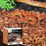 Coconut Chip Bedding for Reptiles and Amphibians