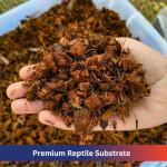 Coconut Chip Substrate for Reptiles - 10 LB Block