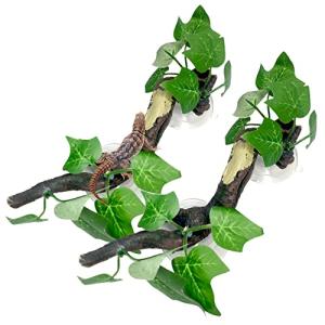 Reptile Corner Branch Decor with Suction Cup