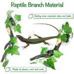 Reptile Corner Branch Decor with Suction Cup