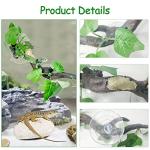 Reptile Corner Branch Decor with Suction Cup