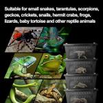 Portable Transparent Reptile Feeding Box and Habitat