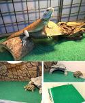 HERCOCCI 2 Pack Reptile Carpet for Terrariums