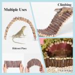 Crested Gecko Tank Decor with Vines and Ladder
