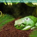 Halatool Coconut Fiber Substrate for Reptiles - 2 Pack