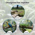 2-Pack Snake Climbing Rings for Reptile Tanks