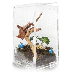Mini Acrylic Reptile Terrarium with Ventilation