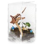 Mini Acrylic Reptile Terrarium with Ventilation