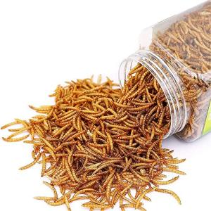 Dried Mealworms for Reptiles and Small Pets