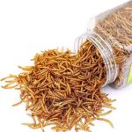 Dried Mealworms for Reptiles and Small Pets