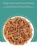 Dried Mealworms for Reptiles and Small Pets