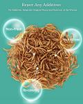 Dried Mealworms for Reptiles and Small Pets