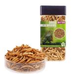 Dried Mealworms for Reptiles and Small Pets