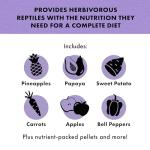 Zilla Herbivore Medley Diet for Reptiles, 4 oz