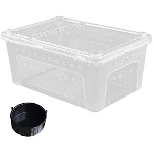Portable Feeding Box for Lizards and Snakes