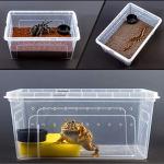 Portable Feeding Box for Lizards and Snakes