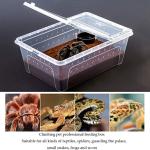 Portable Feeding Box for Lizards and Snakes