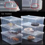 Portable Feeding Box for Lizards and Snakes