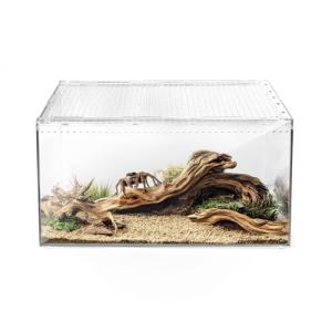 Versatile Reptile Tank for Various Pets