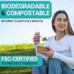 Compostable Wooden Cutlery Set - 300 pieces