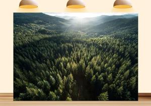 Jungle Forest Tapestry for Eco-Friendly Decor