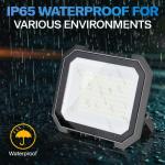 Leddictive 100W Super Bright LED Flood Lights