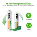 EBL Purple Power Battery Box with 12 AA, 8 AAA Batteries