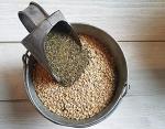 Fresh Eggs Daily Coop Kelp Organic Feed Supplement Vitamins for Backyard Chickens and Ducks 7LB