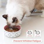 MSBC Ceramic Cat Bowls (13oz/390ml), Cute Cat Food and Water Feeder Set, Whisker Stress Free, Dishwasher Safe, Set of 2, Pink