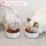 MSBC Ceramic Cat Bowls (13oz/390ml), Cute Cat Food and Water Feeder Set, Whisker Stress Free, Dishwasher Safe, Set of 2, Pink