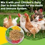 MTART 5LB Dried Black Soldier Fly Larvae Treat for Chicken, 100% Natural Non-GMO More Calcium Than Dried Mealworms High Protein Chicken Feed for Birds, Ducks, Layer Hens