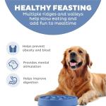 Outward Hound Large Slow Feeder Bowl, Puzzle Maze for Fast Eaters, Medium to Large Dogs, Helps Prevent Bloat & Aid Digestion, Holds 4 Cups Wet or Dry Food, Non-Slip, Made Without BPA, Blue
