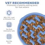 Outward Hound Large Slow Feeder Bowl, Puzzle Maze for Fast Eaters, Medium to Large Dogs, Helps Prevent Bloat & Aid Digestion, Holds 4 Cups Wet or Dry Food, Non-Slip, Made Without BPA, Blue
