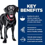 Hill's Science Diet Perfect Weight & Joint Support Large Breed Adult Dry Dog Food 1-5,Quality Protein for Weight Management & Joint Support, Chicken & Brown Rice, 25 lb. Bag