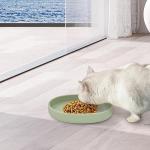 Cat Bowls Silicone Dog Bowls, Non Slip Dog Food Bowls Cat Feeding Bowls, Drinking Bowl Pet Bowl for Dry Food and Wet Food, 10 OZ/330ML Water or Food Bowl for Small Pets, Green 2pcs