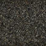 Kaytee Wild Bird Black Oil Sunflower Food, 5 Pounds