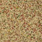 Kaytee Forti-Diet Pro Health Feather Parakeet Food 4lb (pack of 2) (total 8lbs)
