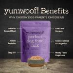 Yumwoof Perfect Dog Food Mix New (Grain-Free) Recipe with Improved Taste | Makes 10 Pounds Fresh Homemade Food | Mix Turkey, Beef, Pork, Bison, Lamb, Elk & More | Human Grade, Low Carb & Non-GMO