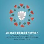 Kaytee Forti-Diet Pro Health Nourish+Protect Parakeet Food, Comprehensive Nutrition Backed by Science, Digestive Health, Immune Support, 2 pounds