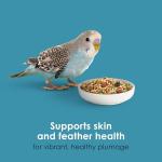 Kaytee Forti-Diet Pro Health Nourish+Protect Parakeet Food, Comprehensive Nutrition Backed by Science, Digestive Health, Immune Support, 2 pounds