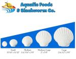 Aquatic Foods Inc. Calcium Feeder Small & Medium Shells. Extra Thick Shells for Shrimp, Snails, Crabs, Crayfish, Hermit Crabs and All Tropical Fish. 4oz …26 Count Bag