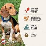 Fromm Four-Star Nutritionals Game Bird Dog Food - Premium Dry Dog Food - Turkey Recipe - 12 lb