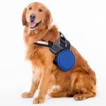 2 Pack Collapsible Dog Bowl Travel Portable Pet Bowls [34oz,1000ml],Expandable Foldable Food Water Feeding Dishes for Traveling Hiking Walking,with Carabiners [Black,Blue]