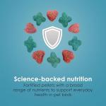 Kaytee Forti-Diet Pro Health Nourish+Protect Cockatiel Food, Comprehensive Nutrition Backed by Science, Digestive Health, Immune Support, 5 pounds