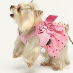 Fitwarm Birthday Girl Dog Tulle Dress, Dog Clothes for Small Dogs Girl, Cat Apparel, Pink, Medium