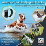 Blingbling Petsfun GPS Wireless Dog Fence System for 2 Dog, Electric Satellite Technology Pet Containment System by GPS Signal Boundary Pets with Waterproof & Rechargeable Collar Receiver (Black)