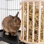 andwe Hay Feeder Less Wasted Wooden Food Feeding Rack for Rabbit Guinea Pig Chinchilla - Standing Pet-self Feeding Hay Manage
