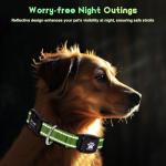 Myiwb GPS Dog Collar Tracker 2-in-1,Reflective Waterproof Adjustable Pet Collar,iOS-Only,Ideal for Dog Tracking pet Tracker,for Small to Large Dogs,Real-Time Tracking,No Monthly Fees(Green,Large)
