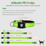 Myiwb GPS Dog Collar Tracker 2-in-1,Reflective Waterproof Adjustable Pet Collar,iOS-Only,Ideal for Dog Tracking pet Tracker,for Small to Large Dogs,Real-Time Tracking,No Monthly Fees(Green,Large)