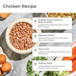 Freshpet Homestyle Beef, Chicken & Turkey Dog Food
